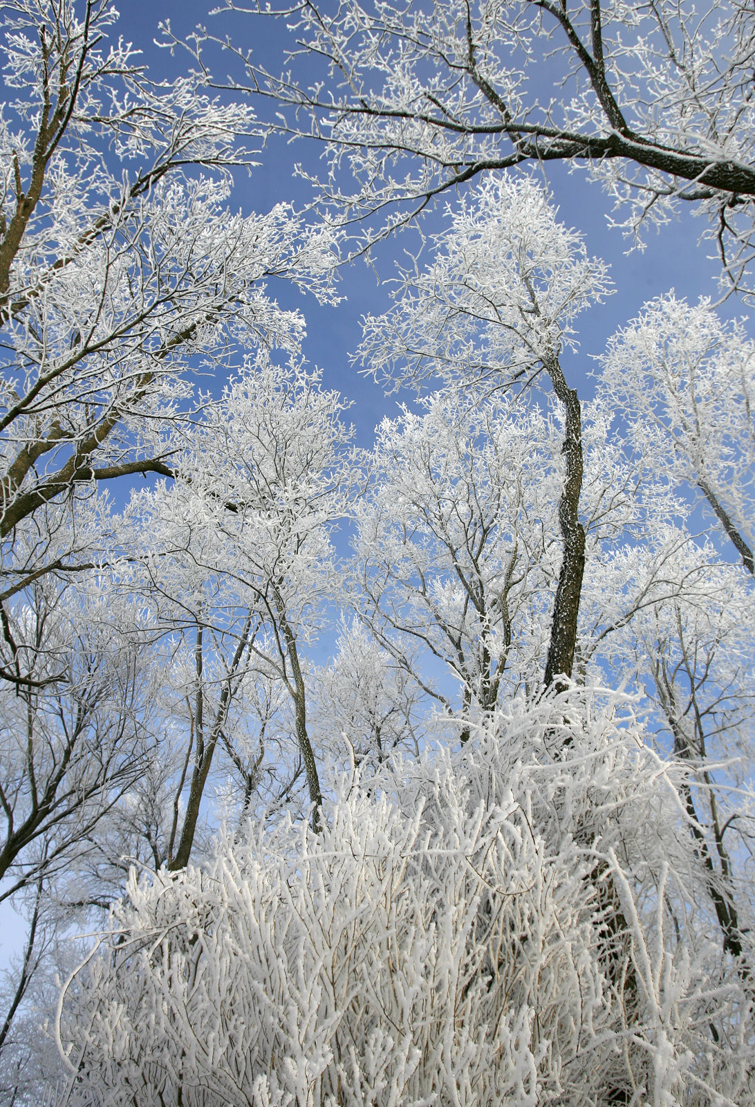 112020bp-31-years-nature47